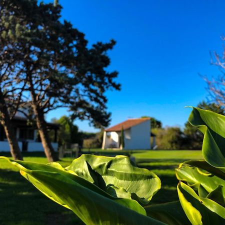 Mas Le Sauvageon Hotel Saintes-Maries-de-la-Mer Buitenkant foto