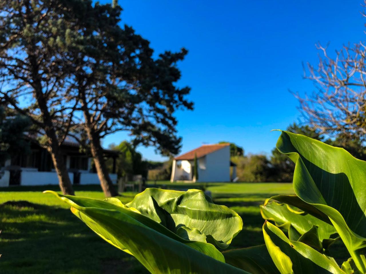 Mas Le Sauvageon Hotel Saintes-Maries-de-la-Mer Buitenkant foto